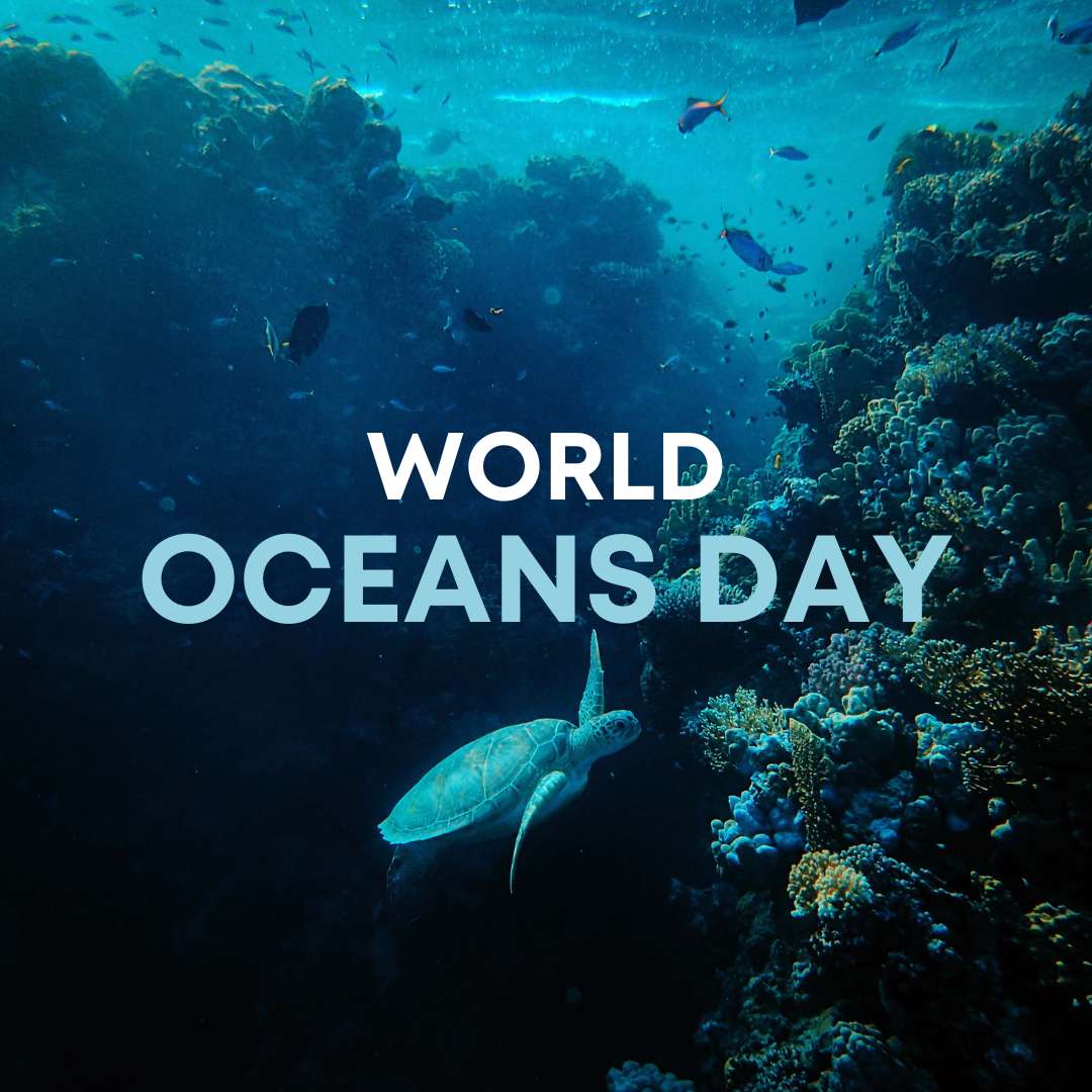 World Oceans Day 2023 - Ektree Climate Foundation